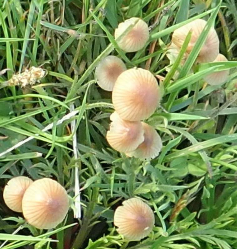 PB020186 (3)-redim800.JPG