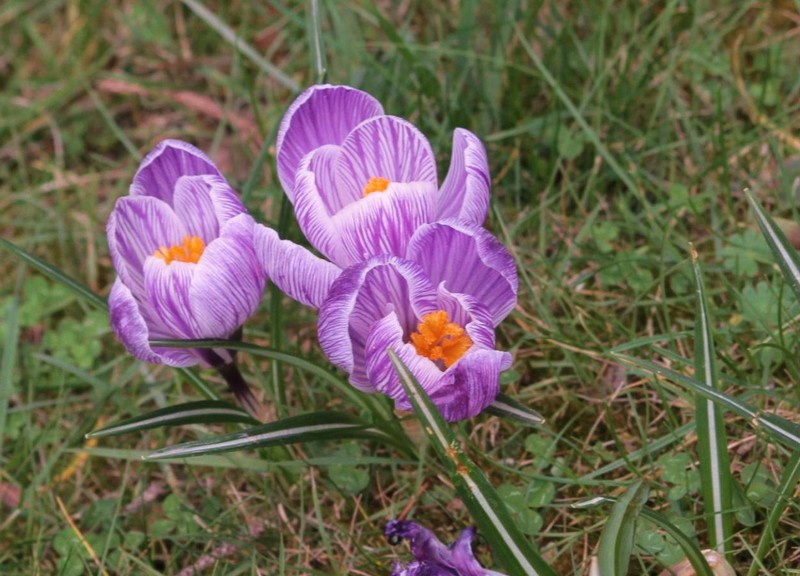 Dans mon parc préféré.JPG